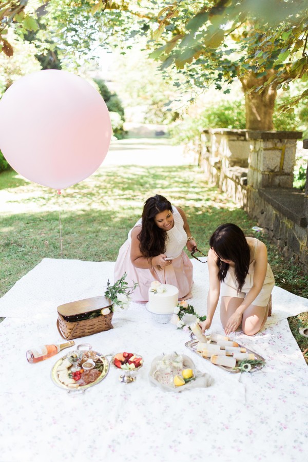 View More: http://ainsleyrose.pass.us/sparkle-media-pic-nic-for-alicia