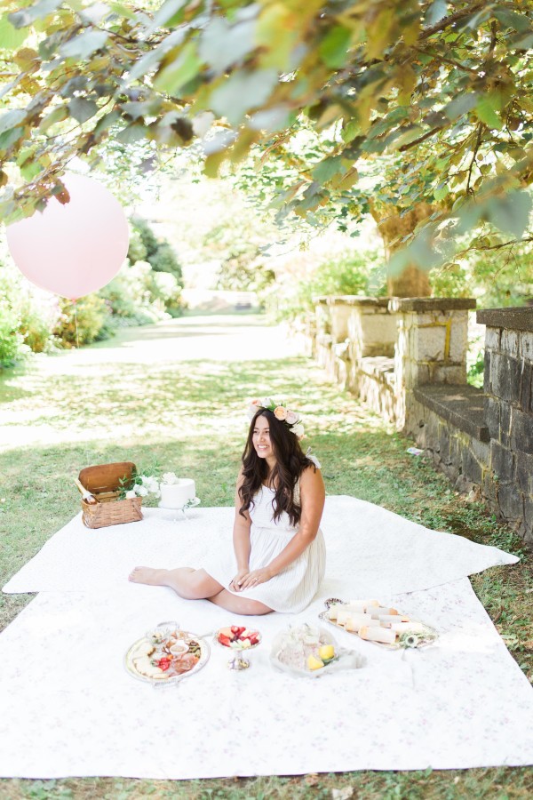 View More: http://ainsleyrose.pass.us/sparkle-media-pic-nic-for-alicia